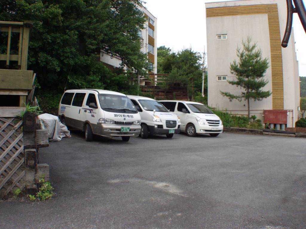 White Cabin Pyeongchang Exteriör bild