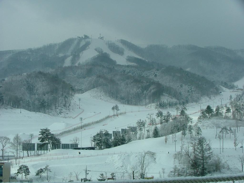 White Cabin Pyeongchang Exteriör bild